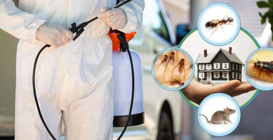 Kent 2 Böcek İlaçlama