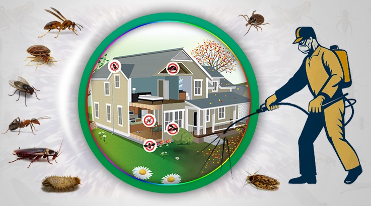 Kent 2 Böcek İlaçlama