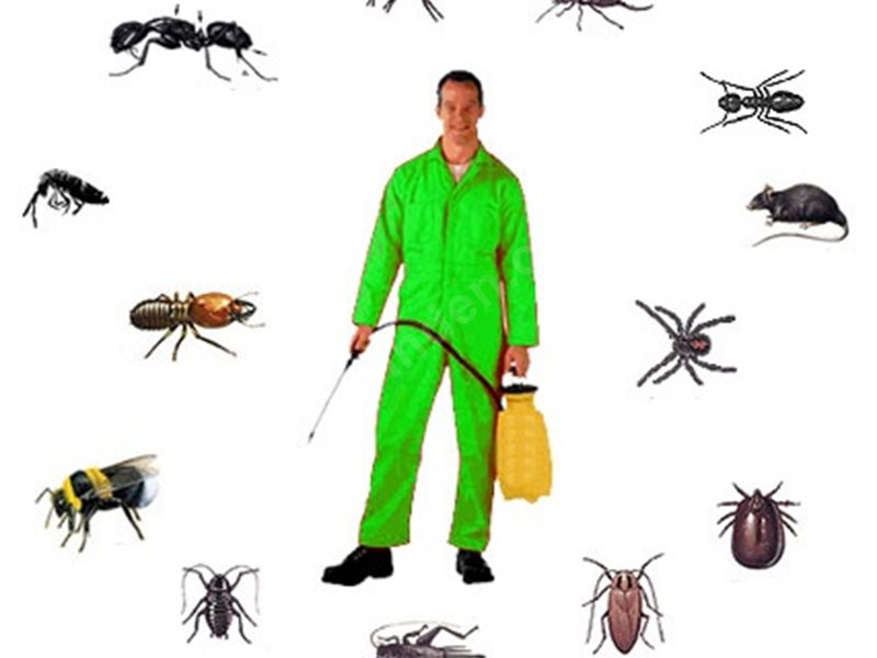 Kent 2 Böcek İlaçlama